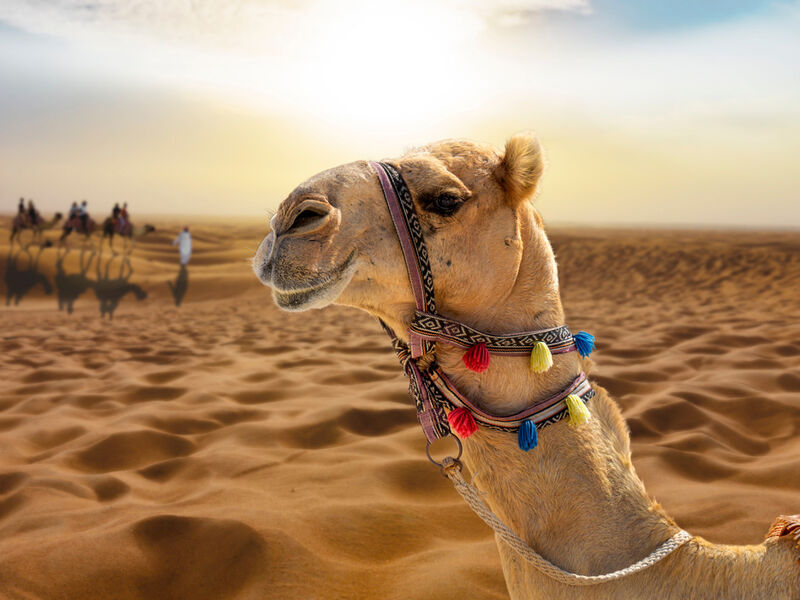 Dubai Serüveni Fly Dubai Hava Yolları ile 3 Gece 2026 Dönemi