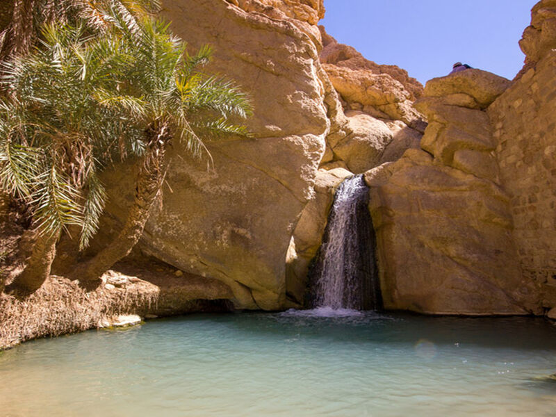 2026 Yaz Dönemi  Türk Havayolları İle Görkemli Tunus ve Antik Kentler (Tüm Turlar ve Akşam Yemekleri Dahil)