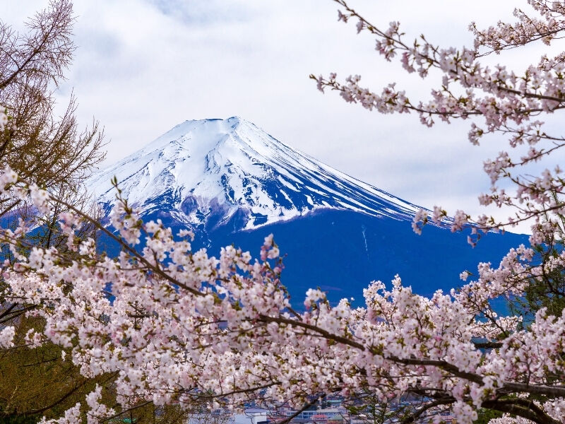Özel Japonya Turu 10 Gün