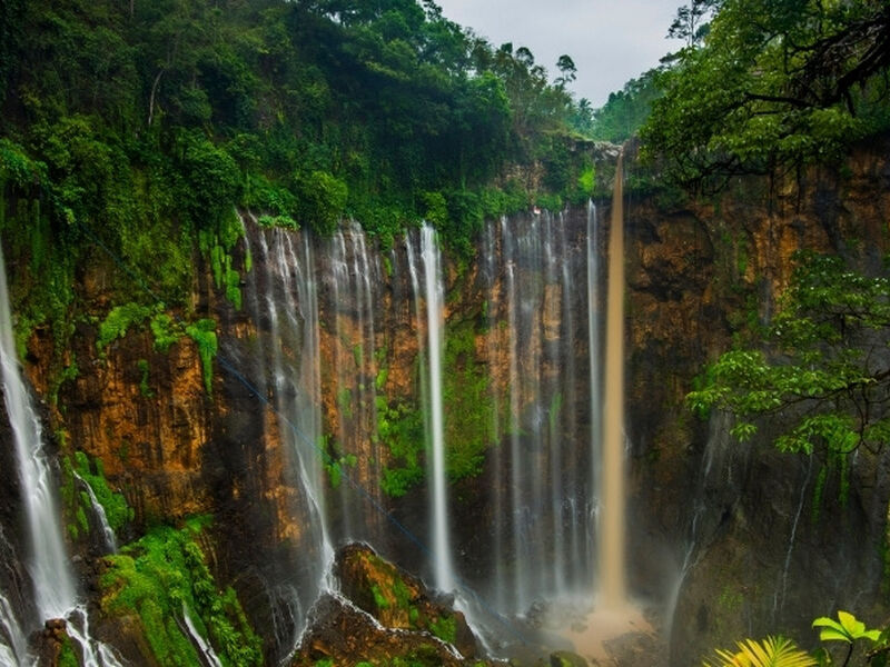 Görkemli Tropikal Ada Bali Turu Singapur Havayolları ile 5 Gece 8 Gün (2026 Kış Dönemi) ATS001