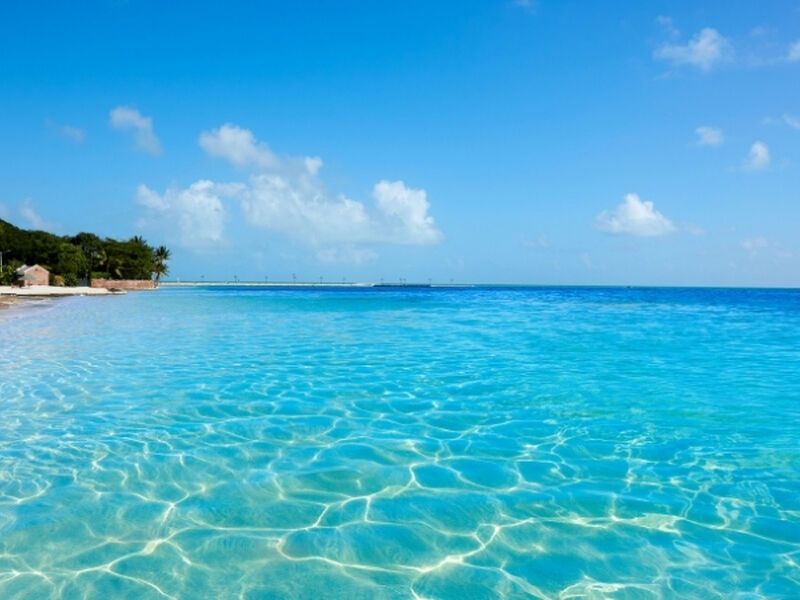 Görkemli Doğu Amerika Turu Türk Havayolları İle 7 Gece 8 Gün (Kurban Bayramı Özel) ATS001