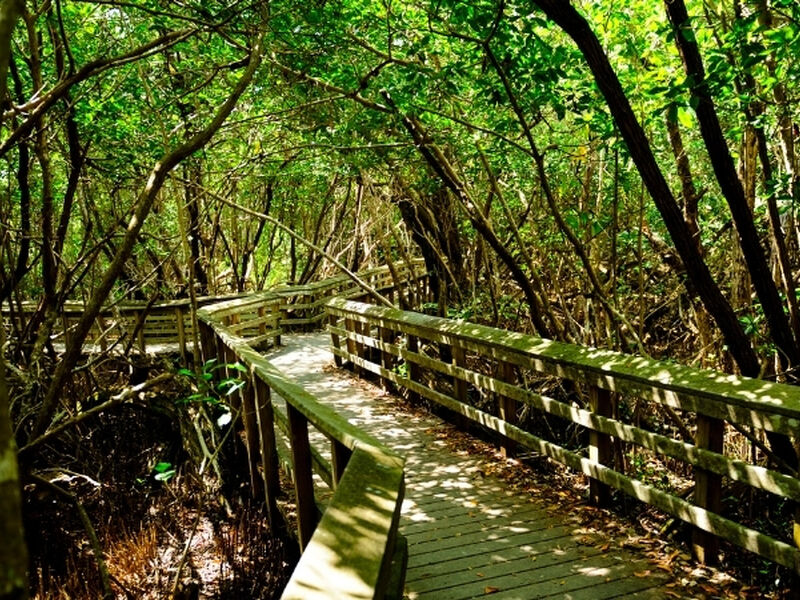 Görkemli Doğu Amerika Turu Türk Havayolları İle 7 Gece 8 Gün (Kurban Bayramı Özel) ATS001