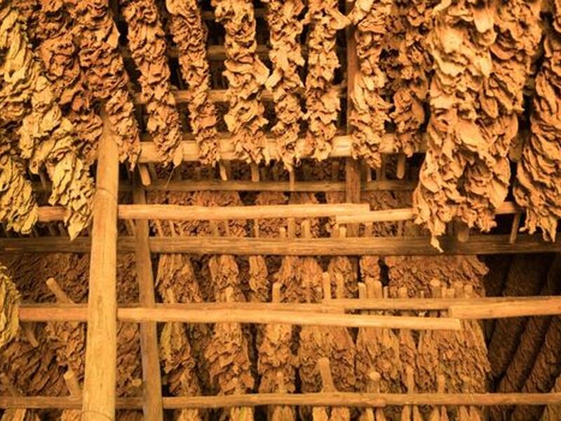 Küba Turu Thy İle 7 Gece 9 Gün 