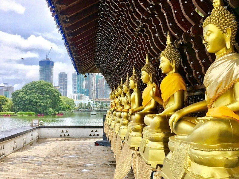 Sri Lanka Turu Türk Havayolları İle 8 Gün EJ001