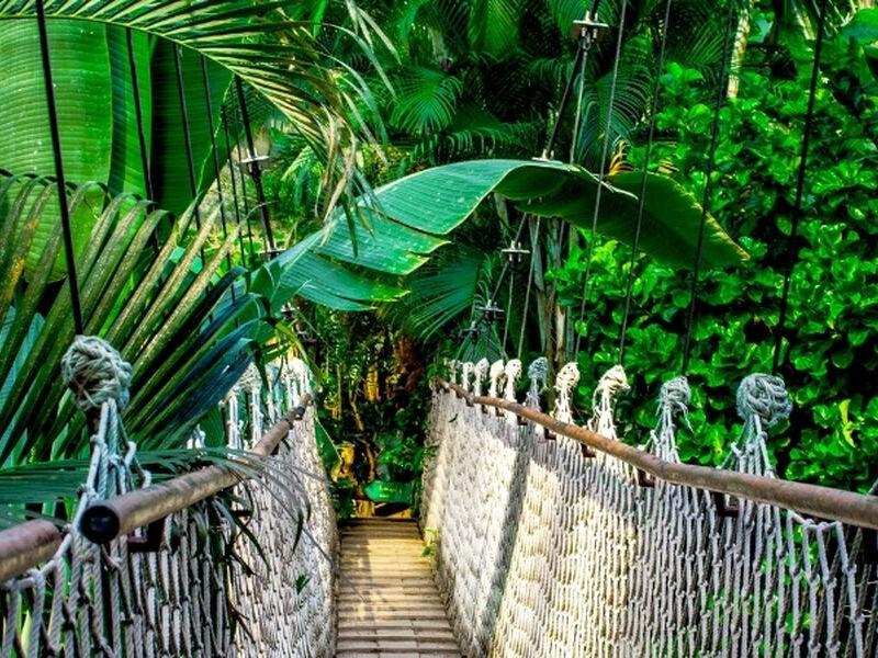 Peru Bolivya Amazon Şili Turu THY ile 18 Gün