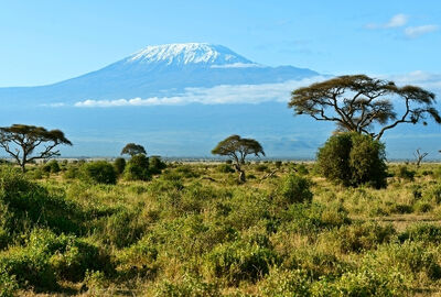 Büyük Afrika 4 Ülke Turu Türk Havayolları İle 11 Gece 12 Gün EJ001 