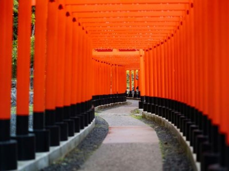 Uzak Doğu’nun Çiçeği ve Güneşi “Güney Kore ve Japonya” THY ile 9 gece (ICN-HND) Seul (3) – Osaka (3) – Nara – Kyoto – Tokyo (3) – Hakone | Tüm turlar ve giriş ücretleri dahil