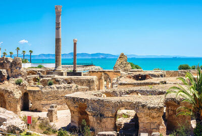 2026 Yaz Dönemi  Türk Havayolları İle Görkemli Tunus ve Antik Kentler (Tüm Turlar ve Akşam Yemekleri Dahil)