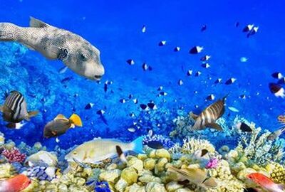 Baştanbaşa Mısır Masalı (Sharm – Kahire – Hurghada) 8 Gece – 9 Gün (7 Gece Otel Konaklaması)