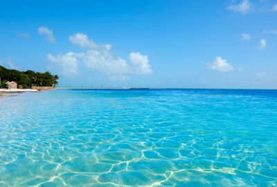 Miami - Orlando Serüveni Turu