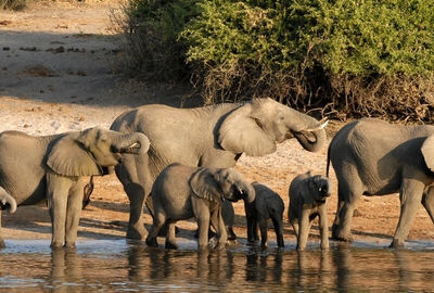 Büyük Afrika 4 Ülke Turu Türk Havayolları İle 11 Gece 12 Gün EJ001 