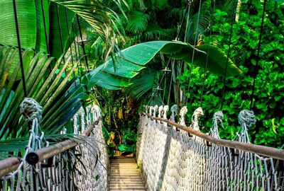 Peru Bolivya Amazon Şili Turu THY ile 18 Gün