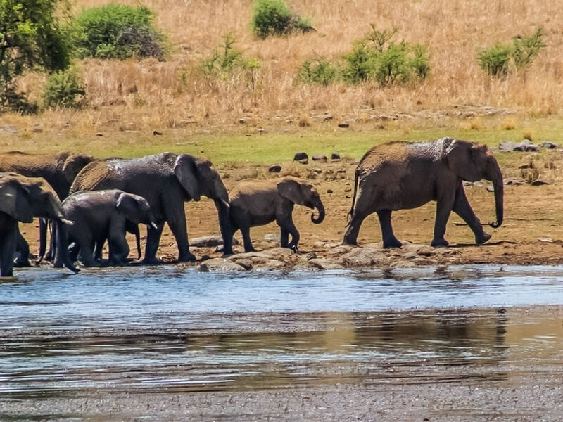 Vizesiz Muhteşem Güney Afrika Turu - Sömestr Dönemi