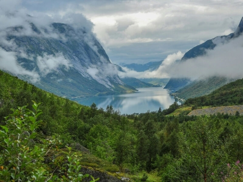 Msc Euribia ile 7 Gece İskandinavya & Norveç Fiyordları AJET Havayolları 2026