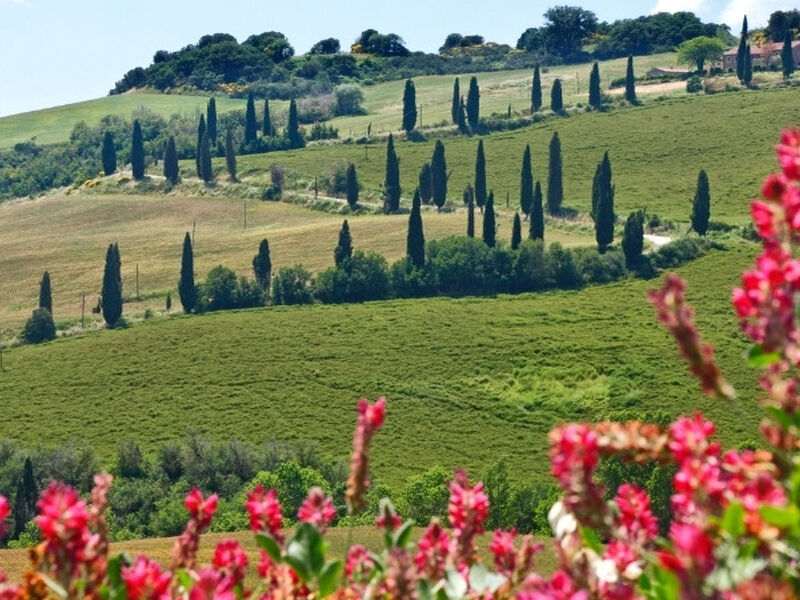 2026 Yaz Dönemi Büyük İtalya Ekspres Turu (Nisan-Ağustos 2026) THY ile 5 gece (FCO-VCE)-AKŞAM DÖNER Roma (2) - Floransa (2) - Venedik (1)