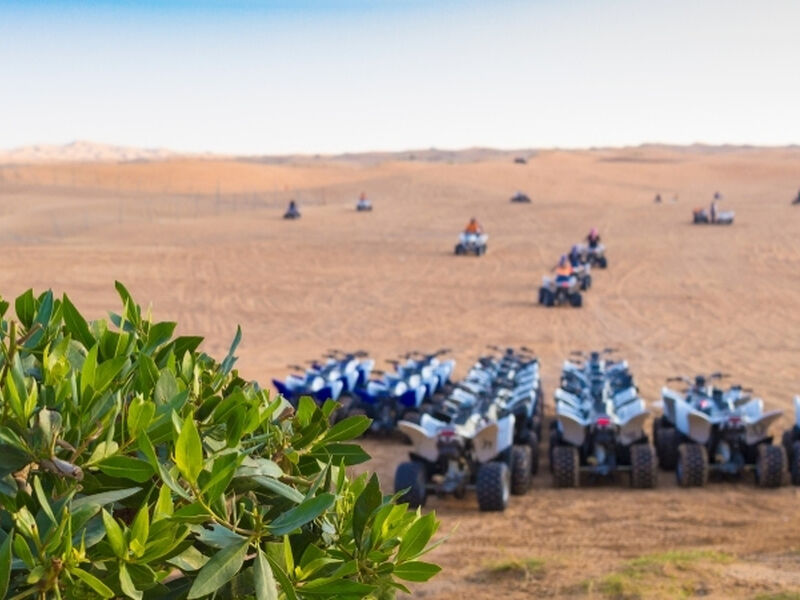 ADANA‘DAN DUBAİ TURU Türk Hava Yolları Özel Seferi ile 3 gece Dubai ve Abu Dhabi İkonları Şehir Turları Dahil,Çocuklar için Ücretsiz Vize..