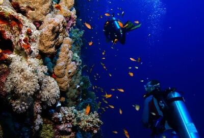 Ankara Çıkışlı Kahire Sharm El Sheikh Turu Ajet Havayolları ile 6 Gece Kahire Şehir Gezisi Dahil